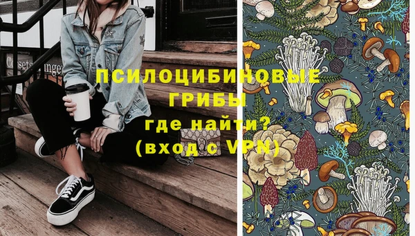 PSILOCYBIN Навашино
