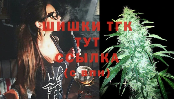 PSILOCYBIN Навашино