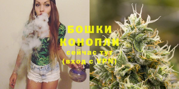 PSILOCYBIN Навашино