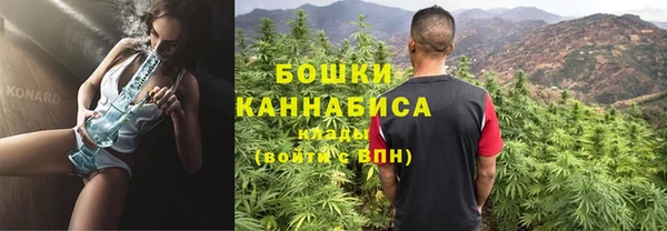 PSILOCYBIN Навашино